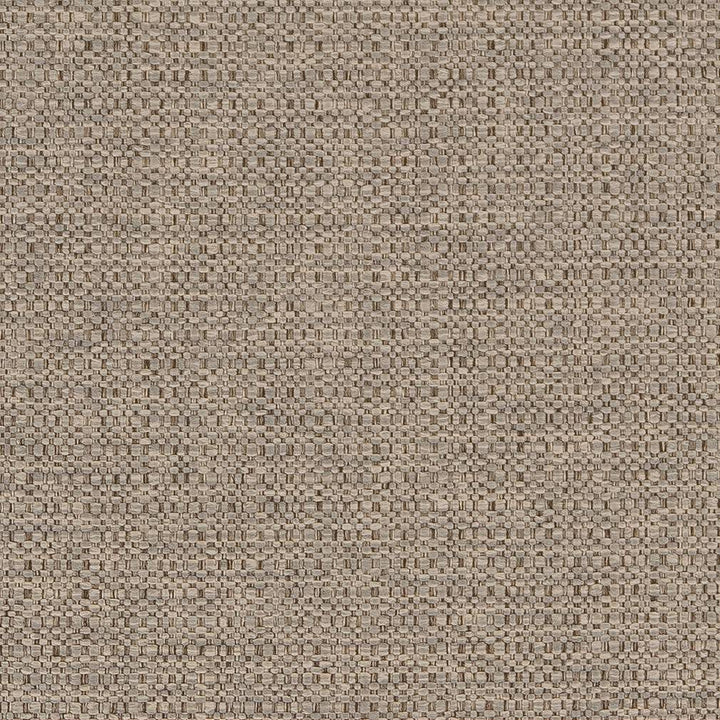 D1577 Dove by Charlotte Fabric Eco Plains 100% Polypropylene Made In USA Exceeds 60,000 Wyzenbeek Rubs (Heavy Duty) </p><p>Repeat: No Repeat 54 Inches - Fabric Carolina -