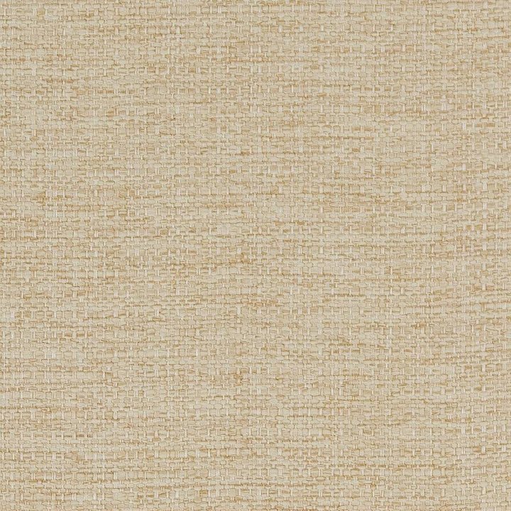 D1581 Beach by Charlotte Designer Fabric Eco Plains 100% Woven Polypropylene Made In USA Exceeds 60,000 Wyzenbeek Rubs (Heavy Duty) No Repeat 54 Inches - Swanky Fabrics -