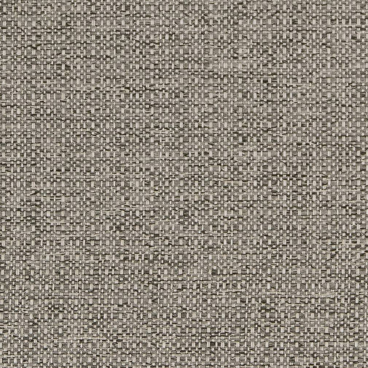 D1582 Platinum by Charlotte Fabric Eco Plains 100% Woven Polypropylene Made In USA Exceeds 60,000 Wyzenbeek Rubs (Heavy Duty) No Repeat 54 Inches - Fabric Carolina -
