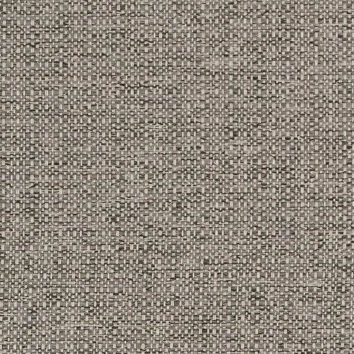 D1582 Platinum by Charlotte Designer Fabric Eco Plains 100% Woven Polypropylene Made In USA Exceeds 60,000 Wyzenbeek Rubs (Heavy Duty) No Repeat 54 Inches - Swanky Fabrics -