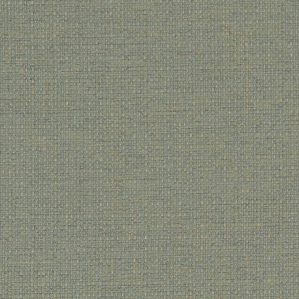 D1583 Mist by Charlotte Fabric Eco Plains 100% Polypropylene Made In USA Exceeds 60,000 Wyzenbeek Rubs (Heavy Duty) </p><p>Repeat: No Repeat 54 Inches - Fabric Carolina -