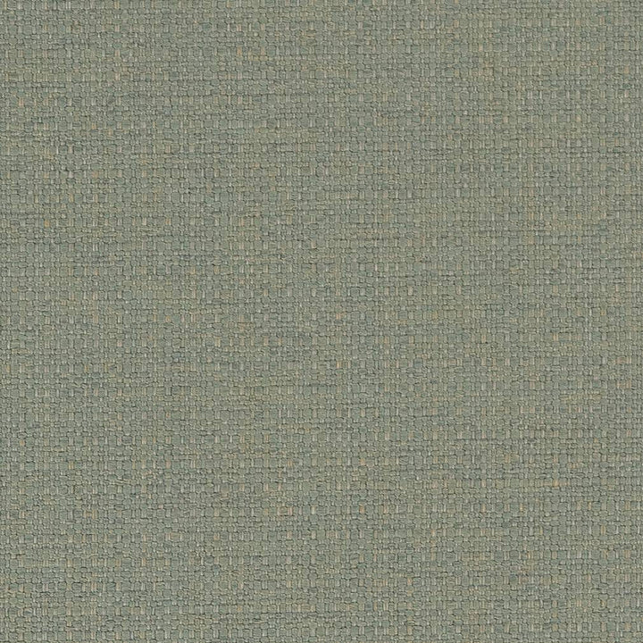 D1583 Mist by Charlotte Fabric Eco Plains 100% Woven Polypropylene Made In USA Exceeds 60,000 Wyzenbeek Rubs (Heavy Duty) No Repeat 54 Inches - Fabric Carolina -