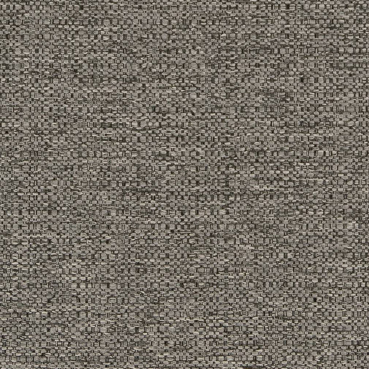 D1584 Pebble by Charlotte Designer Fabric Eco Plains 100% Woven Polypropylene Made In USA Exceeds 60,000 Wyzenbeek Rubs (Heavy Duty) No Repeat 54 Inches - Swanky Fabrics -