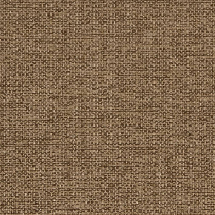 D1585 Sandalwood by Charlotte Designer Fabric Eco Plains 100% Woven Polypropylene Made In USA Exceeds 60,000 Wyzenbeek Rubs (Heavy Duty) No Repeat 54 Inches - Swanky Fabrics -