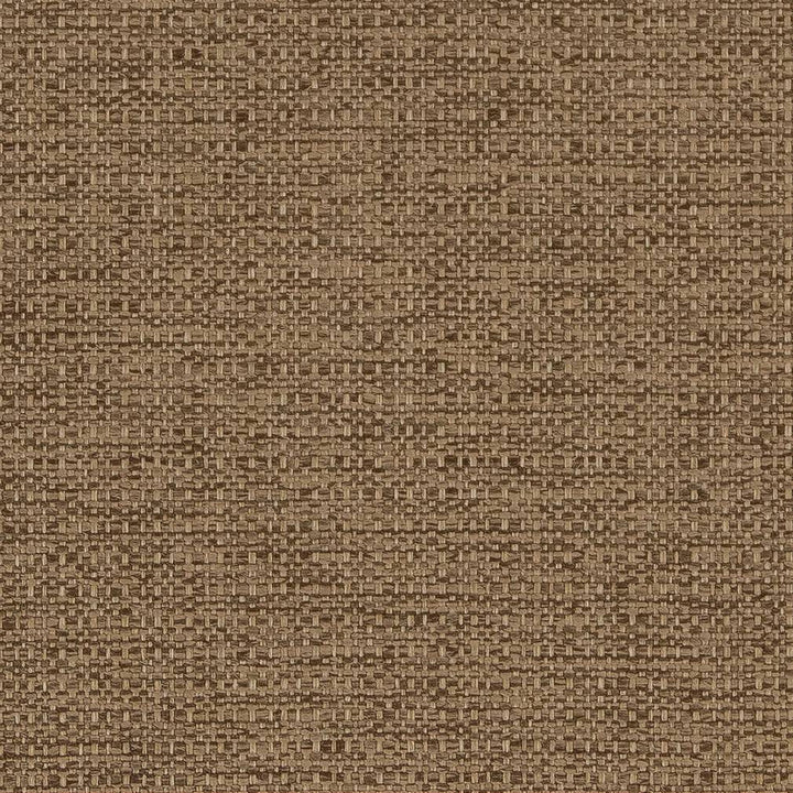 D1585 Sandalwood by Charlotte Fabric Eco Plains 100% Woven Polypropylene Made In USA Exceeds 60,000 Wyzenbeek Rubs (Heavy Duty) No Repeat 54 Inches - Fabric Carolina -