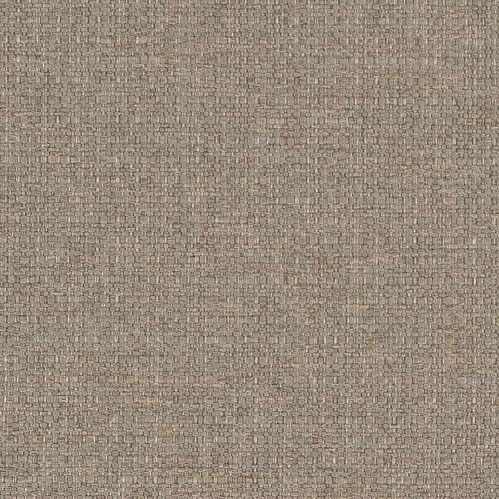 D1586 Stone by Charlotte Fabric Eco Plains 100% Polypropylene Made In USA Exceeds 60,000 Wyzenbeek Rubs (Heavy Duty) </p><p>Repeat: No Repeat 54 Inches - Fabric Carolina -