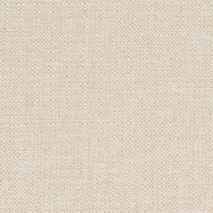 D1591 Natural by Charlotte Designer Fabric Eco Plains 100% Woven Polypropylene Made In USA Exceeds 60,000 Wyzenbeek Rubs (Heavy Duty) No Repeat 54 Inches - Swanky Fabrics -