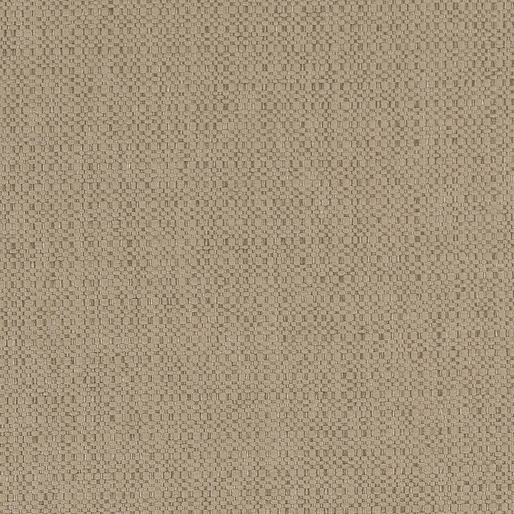 D1593 Dune by Charlotte Designer Fabric Eco Plains 100% Polypropylene Made In USA Exceeds 60,000 Wyzenbeek Rubs (Heavy Duty) </p><p>Repeat: 54 Inches - Swanky Fabrics -