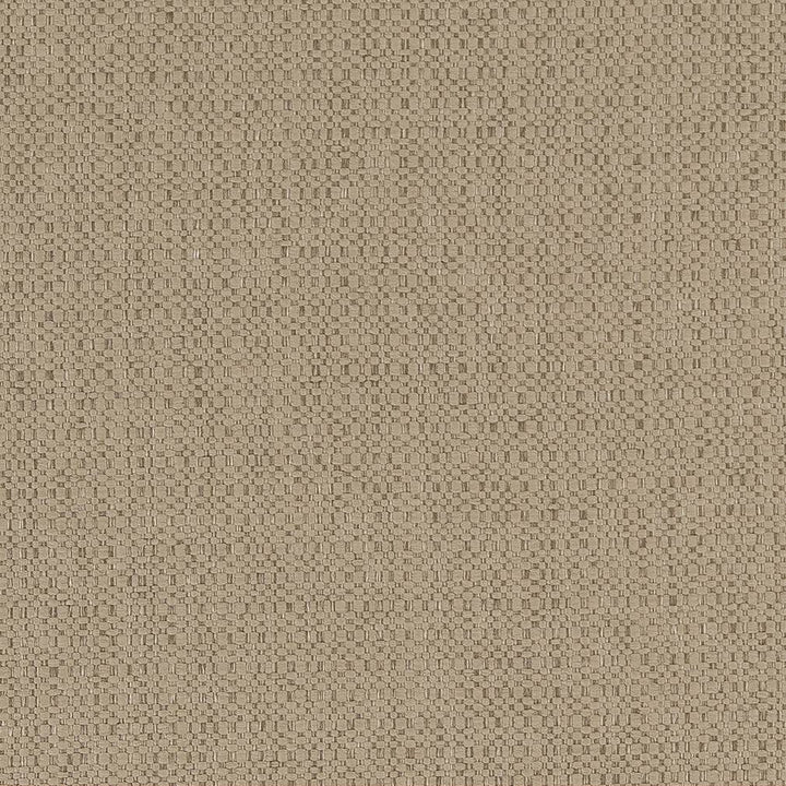 D1593 Dune by Charlotte Fabric Eco Plains 100% Woven Polypropylene Made In USA Exceeds 60,000 Wyzenbeek Rubs (Heavy Duty) No Repeat 54 Inches - Fabric Carolina -
