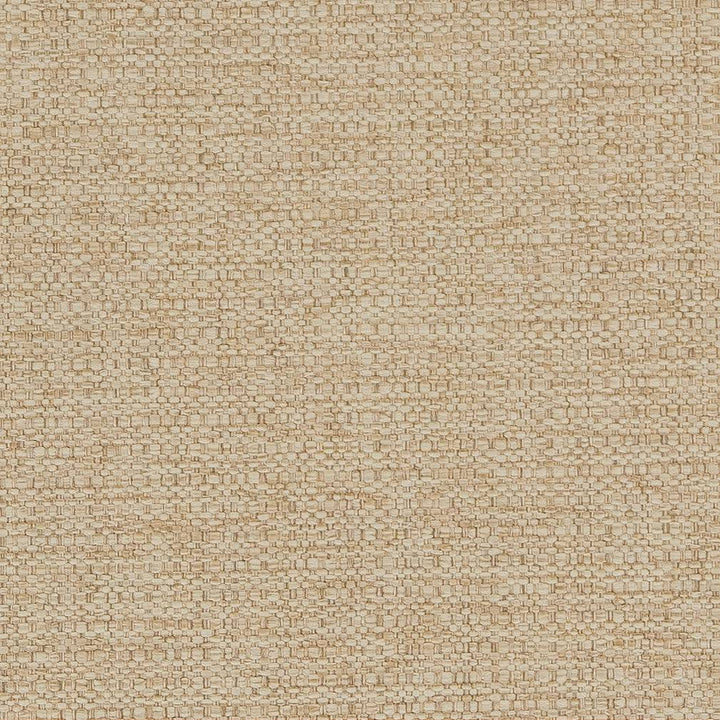D1594 Barley by Charlotte Designer Fabric Eco Plains 100% Woven Polypropylene Made In USA Exceeds 60,000 Wyzenbeek Rubs (Heavy Duty) No Repeat 54 Inches - Swanky Fabrics -