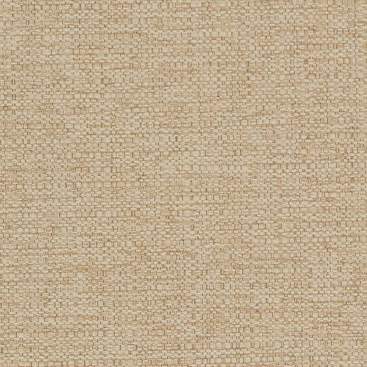 D1594 Barley by Charlotte Fabric Eco Plains 100% Woven Polypropylene Made In USA Exceeds 60,000 Wyzenbeek Rubs (Heavy Duty) No Repeat 54 Inches - Fabric Carolina -