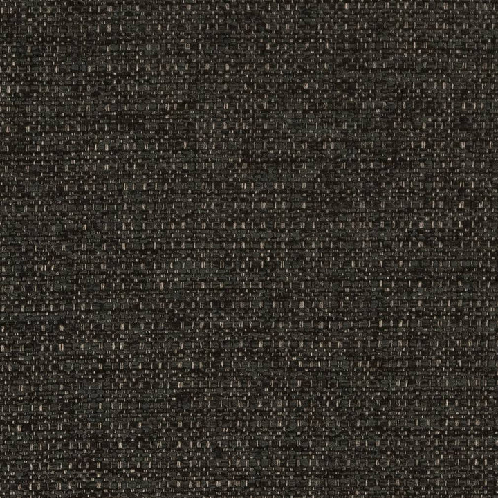 D1597 Charcoal by Charlotte Fabric Eco Plains 100% Polypropylene Made In USA Exceeds 60,000 Wyzenbeek Rubs (Heavy Duty) </p><p>Repeat: No Repeat 54 Inches - Fabric Carolina -