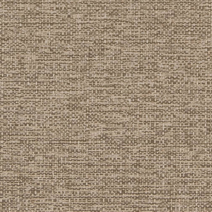 D1598 Taupe by Charlotte Fabric Eco Plains 100% Woven Polypropylene Made In USA Exceeds 60,000 Wyzenbeek Rubs (Heavy Duty) No Repeat 54 Inches - Fabric Carolina -