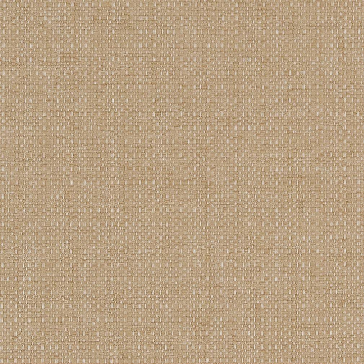 D1599 Almond by Charlotte Designer Fabric Eco Plains 100% Polypropylene Made In USA Exceeds 60,000 Wyzenbeek Rubs (Heavy Duty) </p><p>Repeat: 54 Inches - Swanky Fabrics -