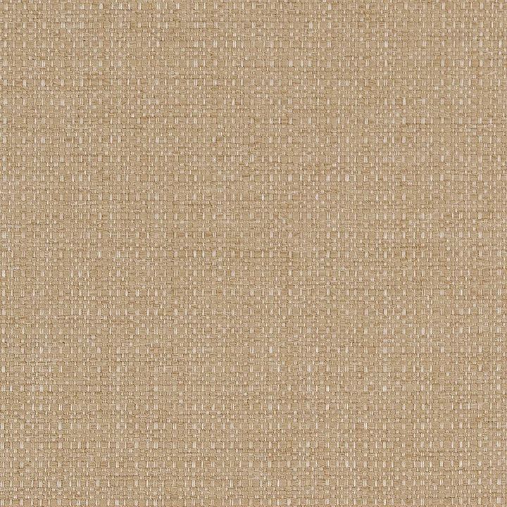 D1599 Almond by Charlotte Fabric Eco Plains 100% Polypropylene Made In USA Exceeds 60,000 Wyzenbeek Rubs (Heavy Duty) </p><p>Repeat: No Repeat 54 Inches - Fabric Carolina -