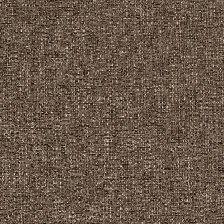 D1600 Truffle by Charlotte Fabric Eco Plains 100% Polypropylene Made In USA Exceeds 60,000 Wyzenbeek Rubs (Heavy Duty) </p><p>Repeat: No Repeat 54 Inches - Fabric Carolina -