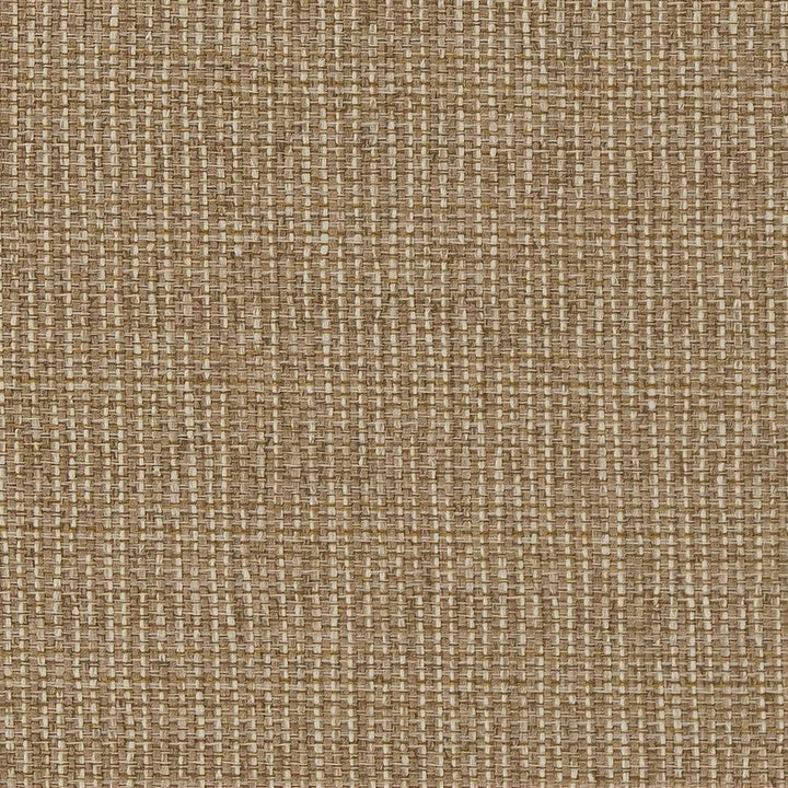D1610 Almond by Charlotte Fabric Eco Patterns 71% Polypropylene, 29% Polyester Made In USA Exceeds 60,000 Wyzenbeek Rubs (Heavy Duty) </p><p>Repeat: No Repeat 54 Inches - Fabric Carolina -