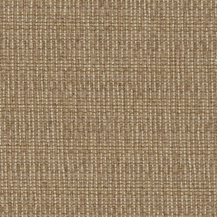 D1610 Almond by Charlotte Designer Fabric Eco Patterns 71% Polypropylene, 29% Polyester Made In USA Exceeds 60,000 Wyzenbeek Rubs (Heavy Duty) </p><p>Repeat: 54 Inches - Swanky Fabrics -