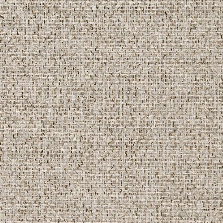 D1619 Birch by Charlotte Fabric Eco Patterns 100% Woven Polypropylene Made In USA Exceeds 60,000 Wyzenbeek Rubs (Heavy Duty) No Repeat 54 Inches - Fabric Carolina -