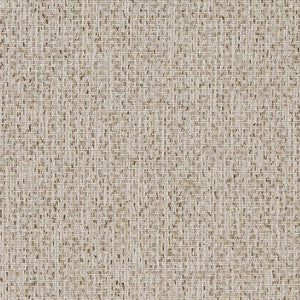 D1619 Birch by Charlotte Fabric