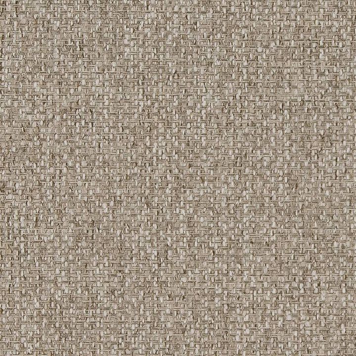D1621 Mushroom by Charlotte Fabric Eco Patterns 100% Polypropylene Made In USA Exceeds 60,000 Wyzenbeek Rubs (Heavy Duty) </p><p>Repeat: 54 Inches - Fabric Carolina -