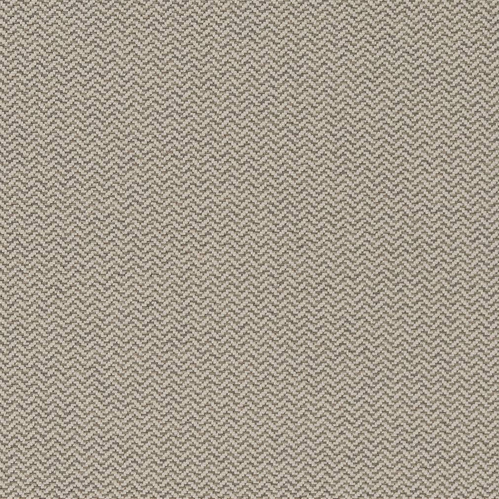 D1624 Pewter by Charlotte Designer Fabric Eco Patterns 100% Woven Polypropylene Made In USA Exceeds 60,000 Wyzenbeek Rubs (Heavy Duty) No Repeat 54 Inches - Swanky Fabrics -