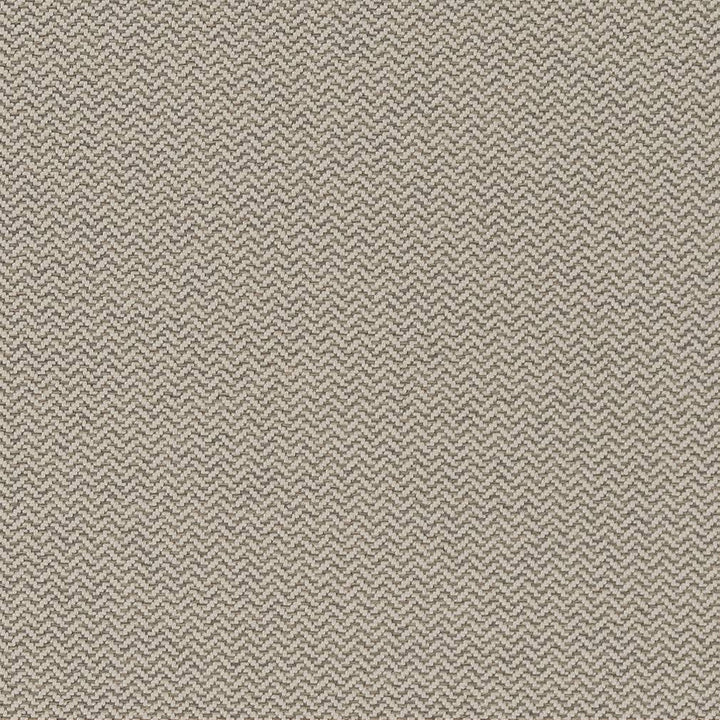 D1624 Pewter by Charlotte Fabric Eco Patterns 100% Polypropylene Made In USA Exceeds 60,000 Wyzenbeek Rubs (Heavy Duty) </p><p>Repeat: No Repeat 54 Inches - Fabric Carolina -