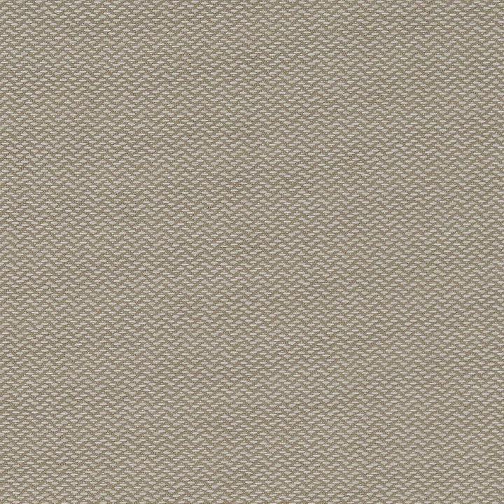D1625 Cloud by Charlotte Designer Fabric Eco Patterns 100% Woven Polypropylene Made In USA Exceeds 60,000 Wyzenbeek Rubs (Heavy Duty) No Repeat 54 Inches - Swanky Fabrics -