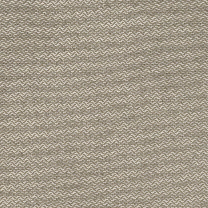 D1625 Cloud by Charlotte Fabric Eco Patterns 100% Woven Polypropylene Made In USA Exceeds 60,000 Wyzenbeek Rubs (Heavy Duty) No Repeat 54 Inches - Fabric Carolina -