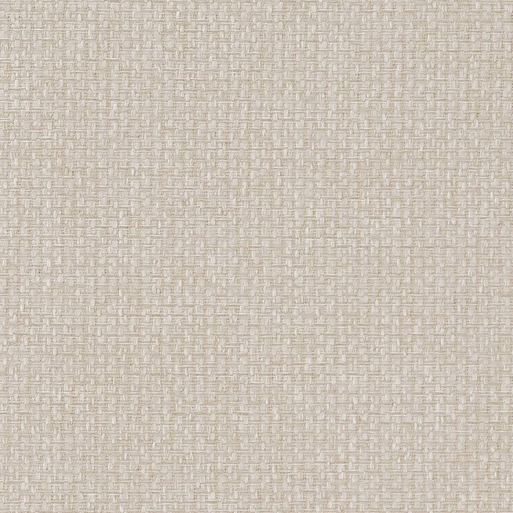 D1626 Natural by Charlotte Fabric Eco Patterns 100% Woven Polypropylene Made In USA Exceeds 60,000 Wyzenbeek Rubs (Heavy Duty) No Repeat 54 Inches - Fabric Carolina -