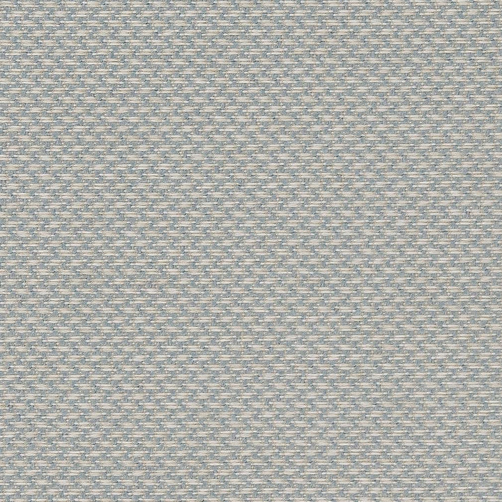 D1627 Sky by Charlotte Designer Fabric Eco Patterns 100% Polypropylene Made In USA Exceeds 60,000 Wyzenbeek Rubs (Heavy Duty) </p><p>Repeat: 54 Inches - Swanky Fabrics -