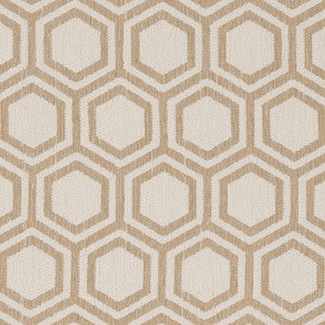 D1635 Sand Dollar by Charlotte Fabric
