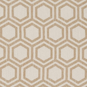 D1635 Sand Dollar by Charlotte Fabric