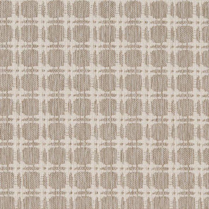D1647 Moonstone by Charlotte Fabric Eco Patterns 100% Polypropylene Made In USA Exceeds 60,000 Wyzenbeek Rubs (Heavy Duty) </p><p>Repeat: Horizontal: 1.25" x Vertical: 1.25" 54 Inches - Fabric Carolina -