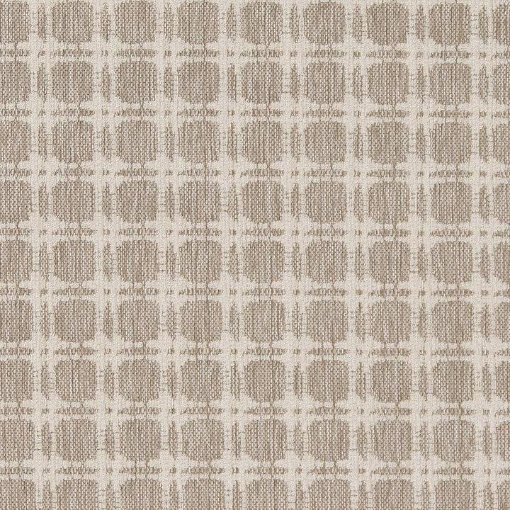 D1647 Moonstone by Charlotte Designer Fabric Eco Patterns 100% Polypropylene Made In USA Exceeds 60,000 Wyzenbeek Rubs (Heavy Duty) </p><p>Repeat: Horizontal: 1.25" x Vertical: 1.25" 54 Inches - Swanky Fabrics -