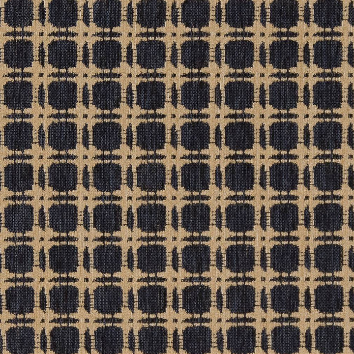 D1648 Navy by Charlotte Fabric Eco Patterns 100% Polypropylene Made In USA Exceeds 60,000 Wyzenbeek Rubs (Heavy Duty) </p><p>Repeat: Horizontal: 1.25" x Vertical: 1.25" 54 Inches - Fabric Carolina -