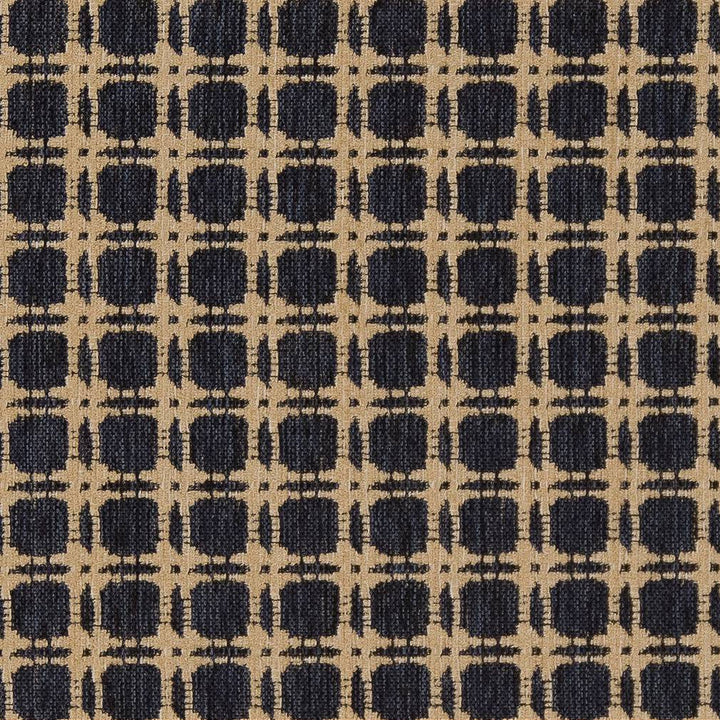 D1648 Navy by Charlotte Designer Fabric Eco Patterns 100% Polypropylene Made In USA Exceeds 60,000 Wyzenbeek Rubs (Heavy Duty) </p><p>Repeat: Horizontal: 1.25" x Vertical: 1.25" 54 Inches - Swanky Fabrics -