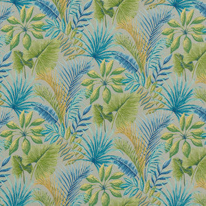 D1667 Captiva by Charlotte Fabric
