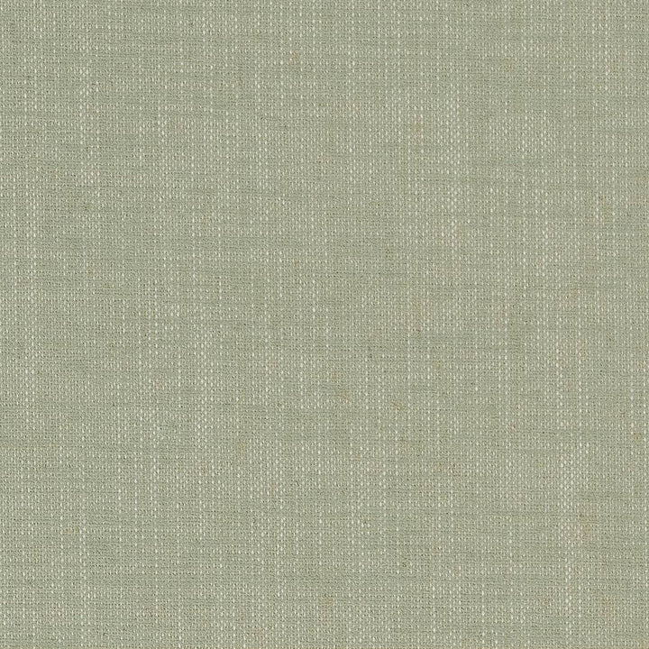 D1701 Spring by Charlotte Designer Fabric Crypton III 92% Polyester, 8% Linen Asia Exceeds 200,000 Wyzenbeek Rubs (Heavy Duty) No Repeat 54 Inches - Swanky Fabrics -