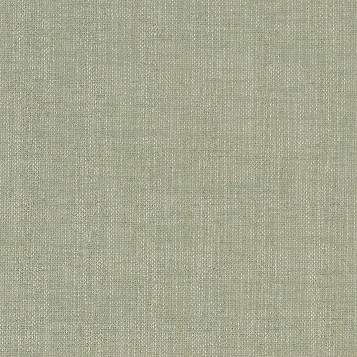 D1701 Spring by Charlotte Fabric Crypton III 92% Polyester, 8% Linen Asia Exceeds 200,000 Wyzenbeek Rubs (Heavy Duty) No Repeat 54 Inches - Fabric Carolina -