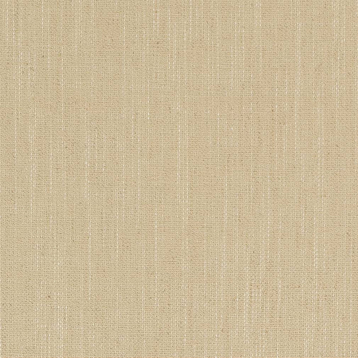 D1702 Sand by Charlotte Designer Fabric Crypton III 92% Polyester, 8% Linen Asia Exceeds 200,000 Wyzenbeek Rubs (Heavy Duty) No Repeat 54 Inches - Swanky Fabrics -