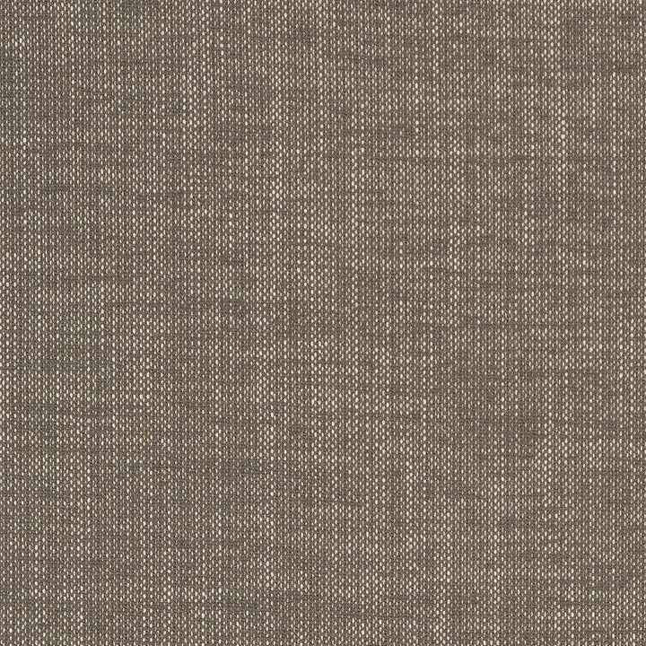 D1703 Slate by Charlotte Fabric Crypton III 92% Polyester, 8% Linen Asia Exceeds 200,000 Wyzenbeek Rubs (Heavy Duty) No Repeat 54 Inches - Fabric Carolina -
