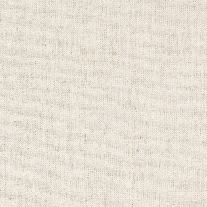 D1704 Cotton by Charlotte Designer Fabric Crypton III 92% Polyester, 8% Linen Asia Exceeds 200,000 Wyzenbeek Rubs (Heavy Duty) No Repeat 54 Inches - Swanky Fabrics -