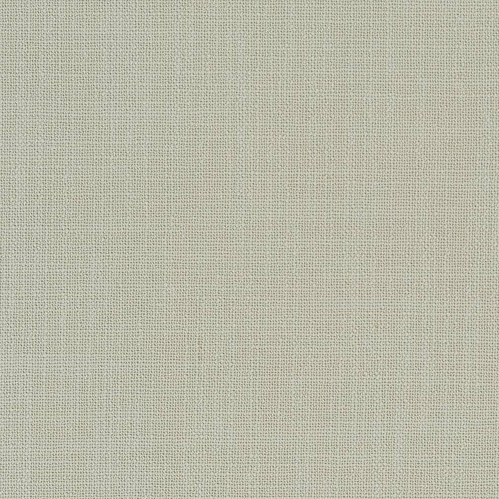 D1705 Spa by Charlotte Fabric Crypton III 88% Polyester, 12% Linen Asia Exceeds 100,000 Wyzenbeek Rubs (Heavy Duty) No Repeat 54 Inches - Fabric Carolina -