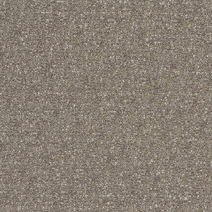 D1715 Granite by Charlotte Fabric