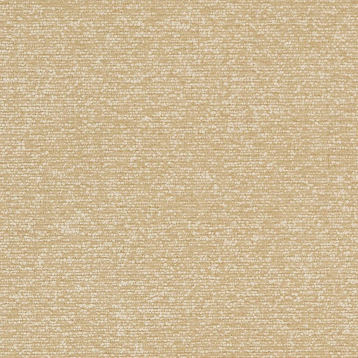 D1720 Beach by Charlotte Designer Fabric Crypton III 100% Woven Polyester Asia Exceeds 200,000 Wyzenbeek Rubs (Heavy Duty) No Repeat 54 Inches - Swanky Fabrics -