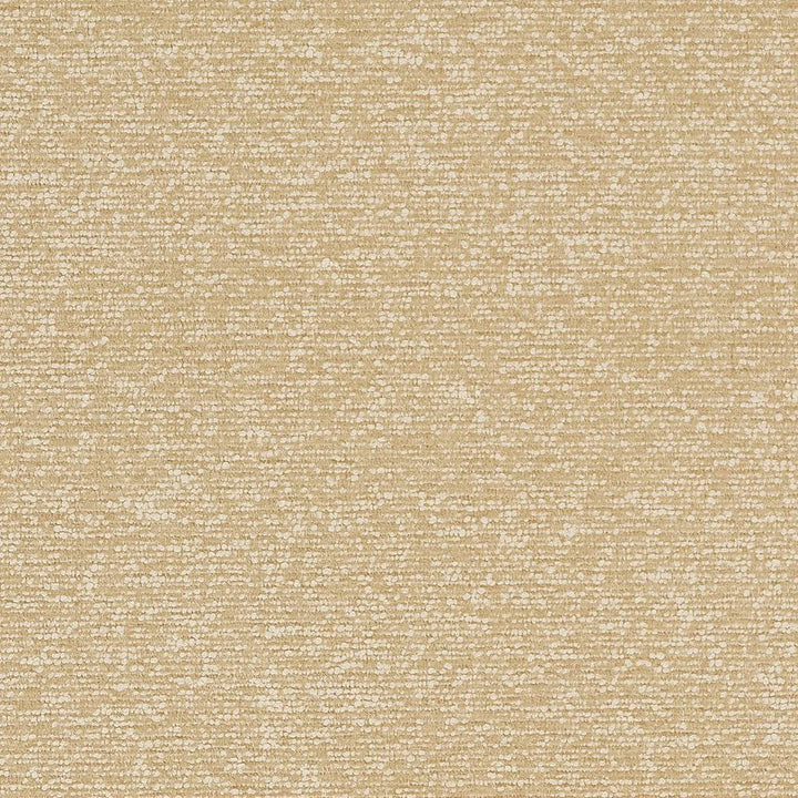 D1720 Beach by Charlotte Fabric Crypton III 100% Woven Polyester Asia Exceeds 200,000 Wyzenbeek Rubs (Heavy Duty) </p><p>Repeat: No Repeat 54 Inches - Fabric Carolina -