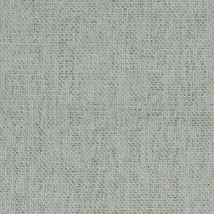 D1737 Capri by Charlotte Fabric Crypton III 100% Woven Polyester Asia Exceeds 100,000 Wyzenbeek Rubs (Heavy Duty) No Repeat 54 Inches - Fabric Carolina -