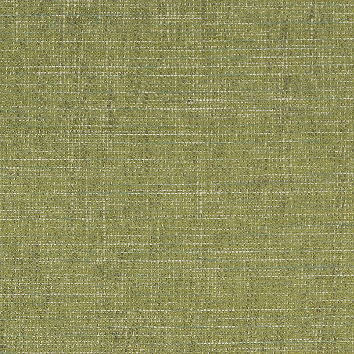 D1739 Grass by Charlotte Fabric Crypton III 100% Woven Polyester Asia Exceeds 100,000 Wyzenbeek Rubs (Heavy Duty) </p><p>Repeat: No Repeat 54 Inches - Fabric Carolina -