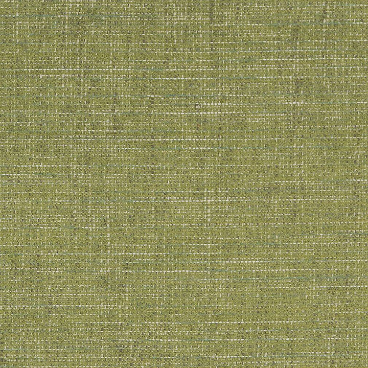 D1739 Grass by Charlotte Designer Fabric Crypton III 100% Woven Polyester Asia Exceeds 100,000 Wyzenbeek Rubs (Heavy Duty) </p><p>Repeat: 54 Inches - Swanky Fabrics -